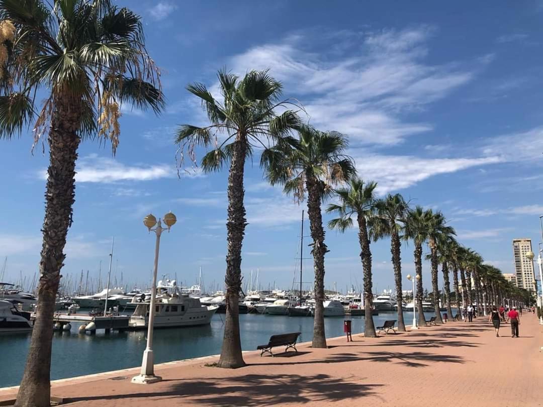 Casaturis Albufera Playa A111 Διαμέρισμα Αλικάντε Εξωτερικό φωτογραφία